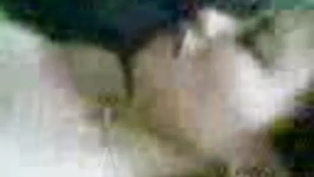كورتني مواقع اباحيه اجنبي أوكونور