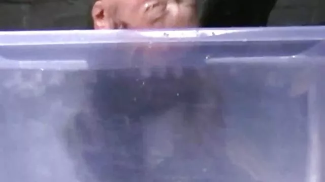 سيبيل و افلام اباحيه اجنبيه الصيف مثل الساخنة
