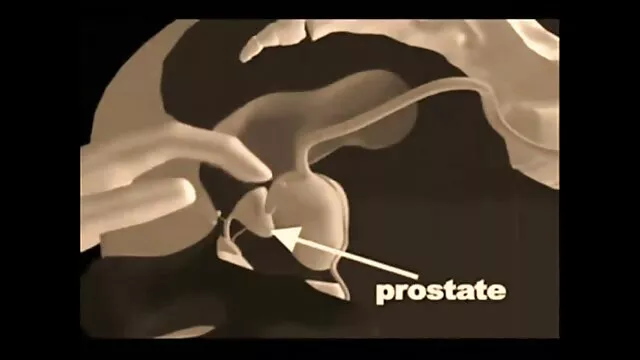 Monicca افلام سكس اجنبية اباحية