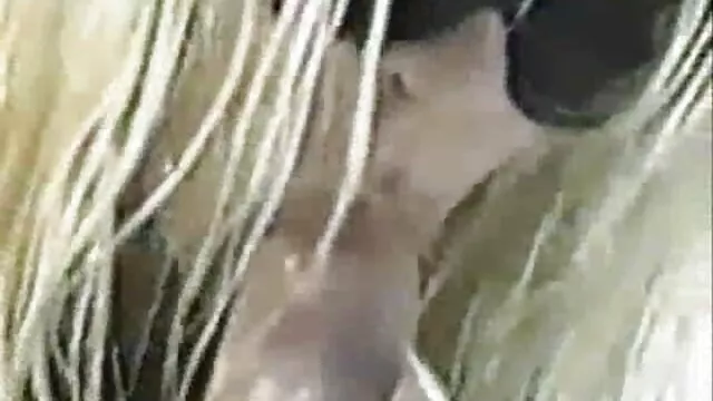 دوللي افلام سكس اباحيه اجنبي فوكس و كيرا الساخنة (البطيخ في الوجه أربعة العملاقة